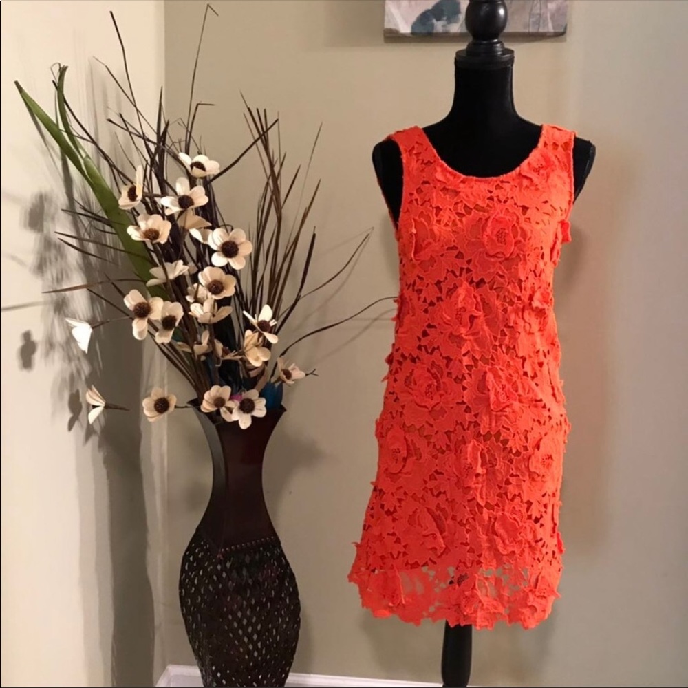 Sugarlips crochet dress, NWT